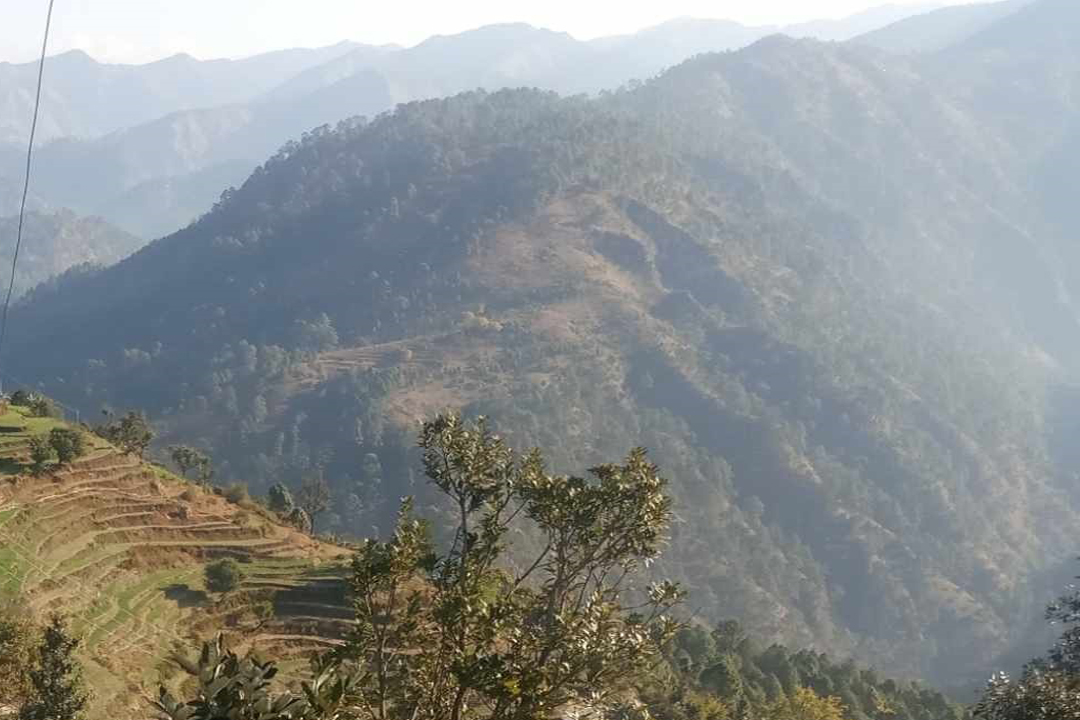 ‘ठेउका’को अवैध विक्रिवितरणले ग्रामीण क्षेत्र अशान्त 